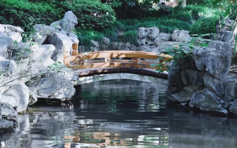 校园池塘