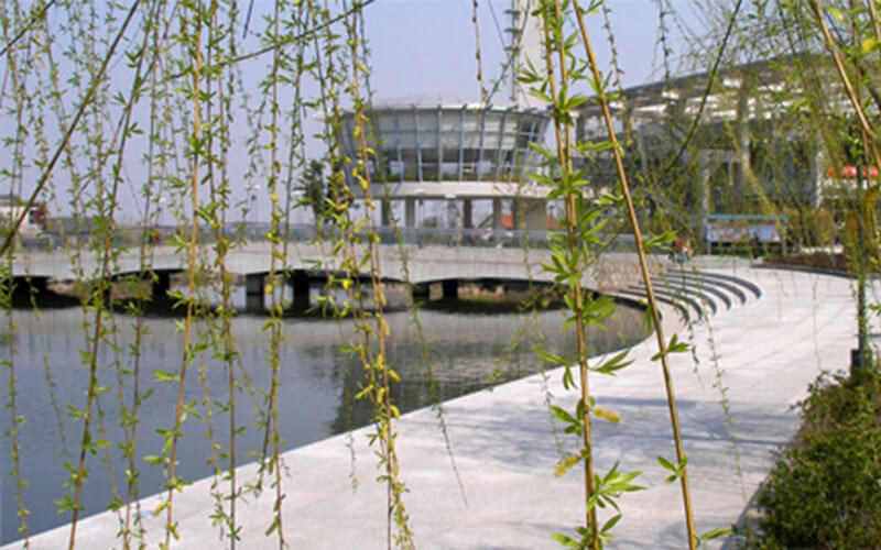 学院池塘