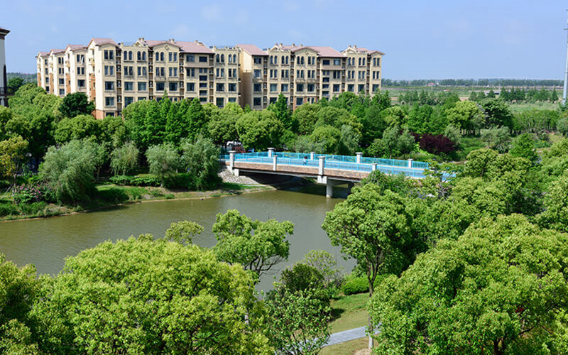 学院绿化