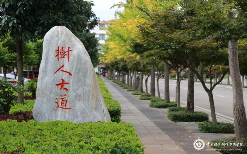景观石