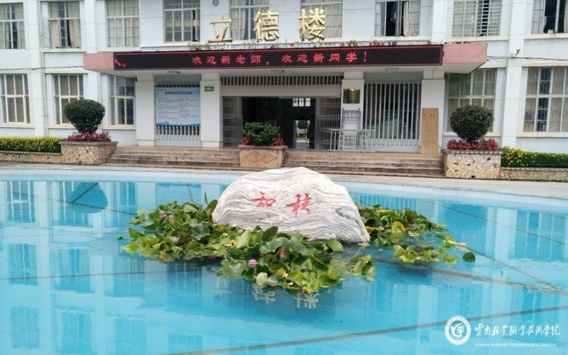 校园池塘
