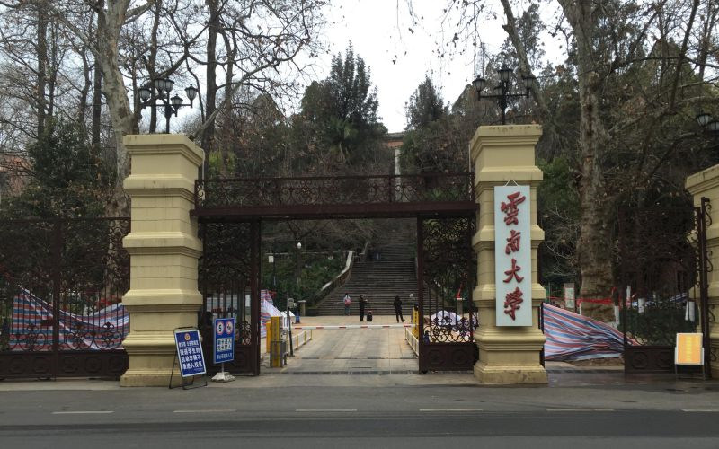 云南大学首页