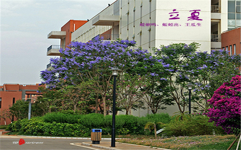 盛夏校园