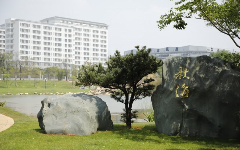 景观石