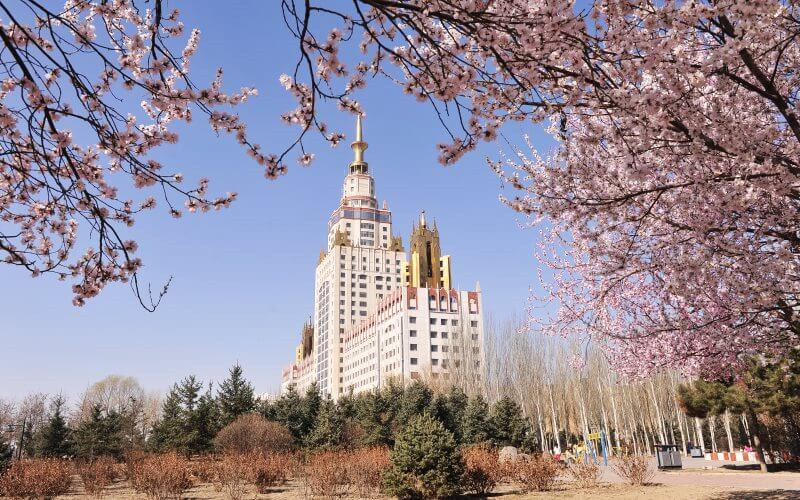 校园风景