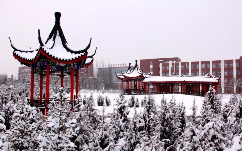 校园雪景