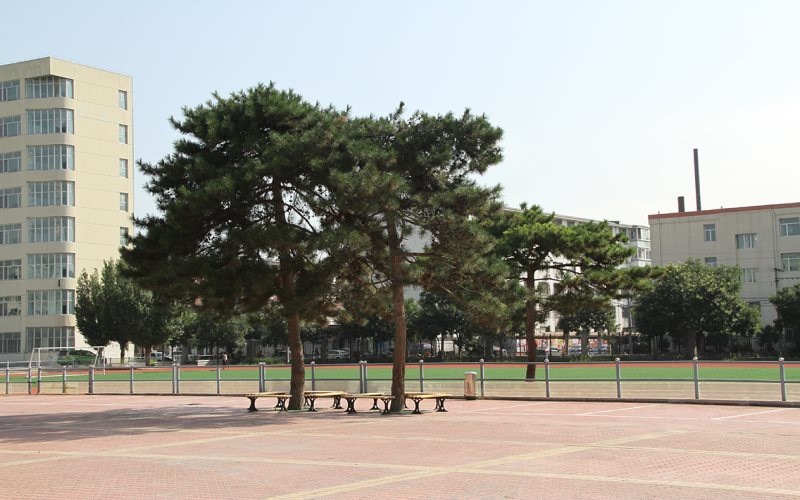 学院风光
