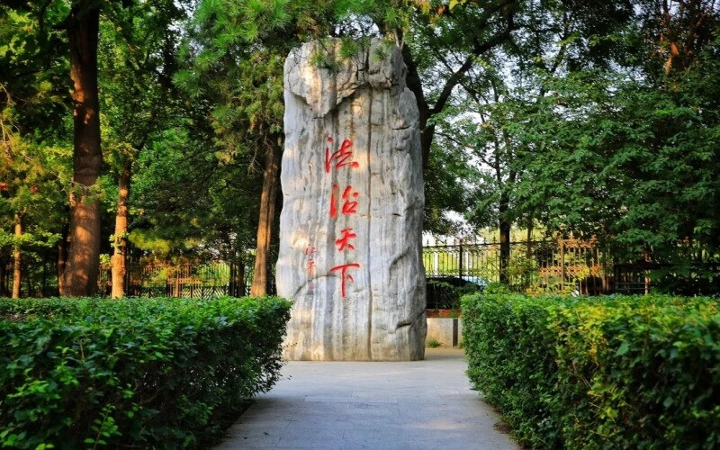 校园绿化