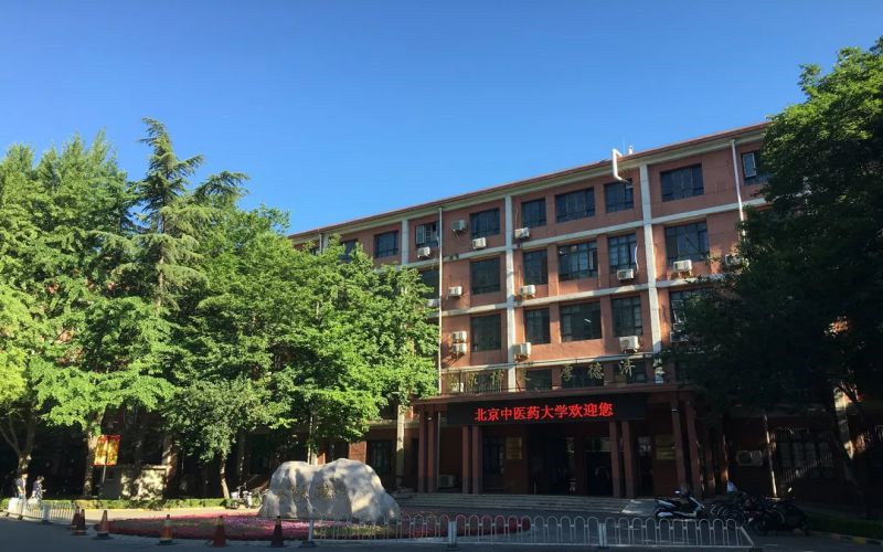校园景色