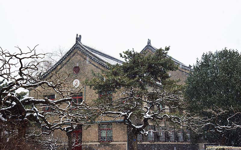 校园风景