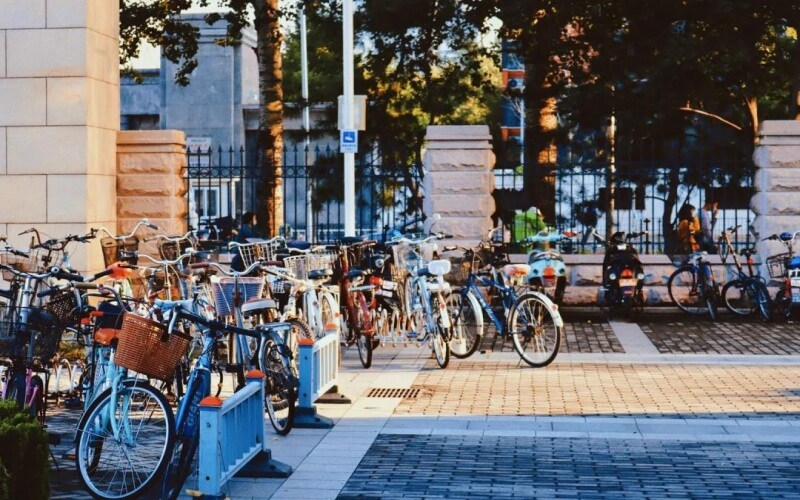 校园景色