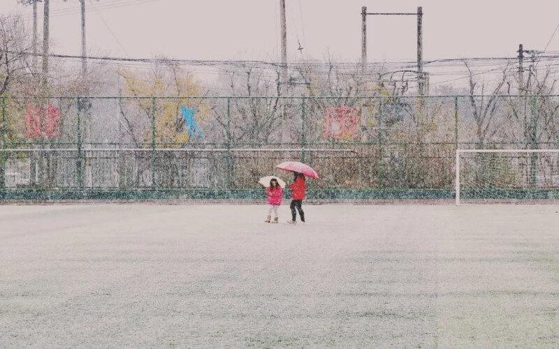 校园一角