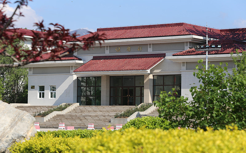 大学照片