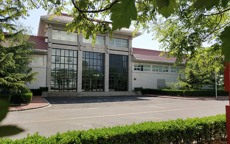 校园绿化