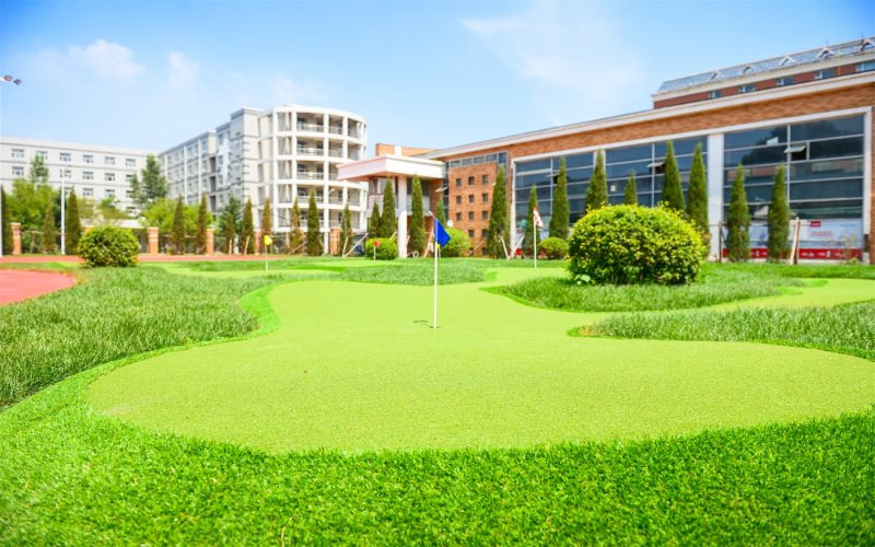 学院绿化