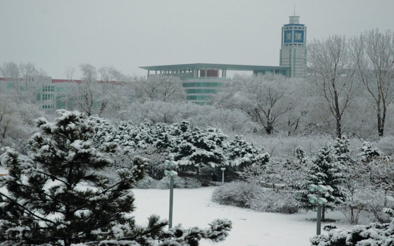 校园冬景