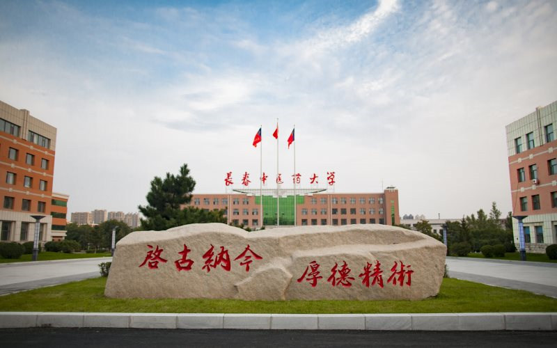 景观石