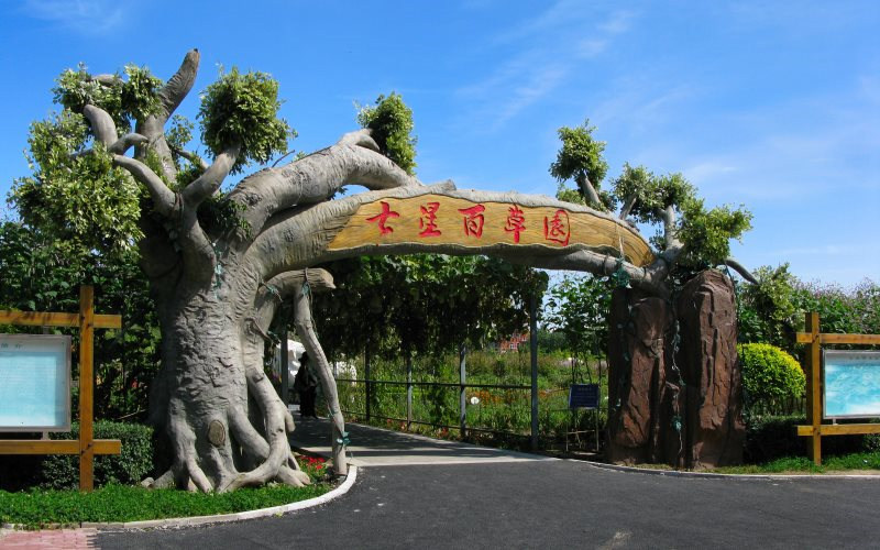 校园一角