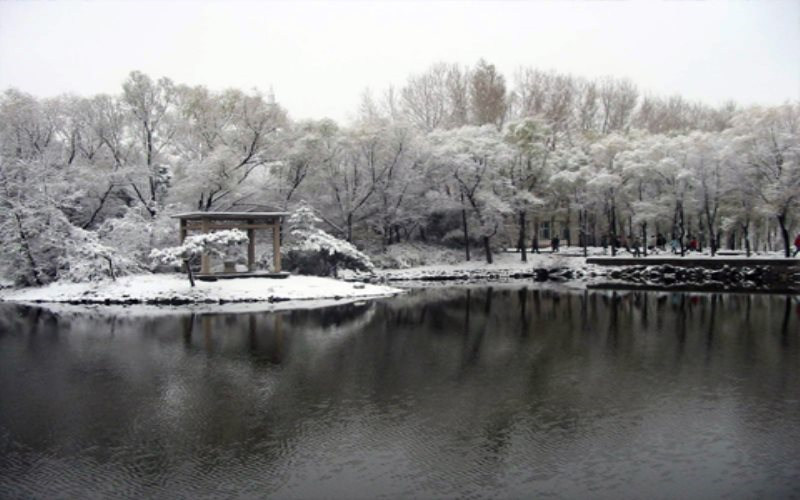 校园冬景