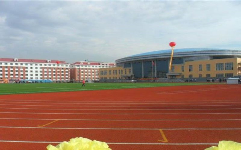 运动场