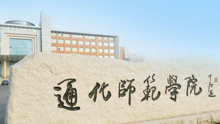 景观石
