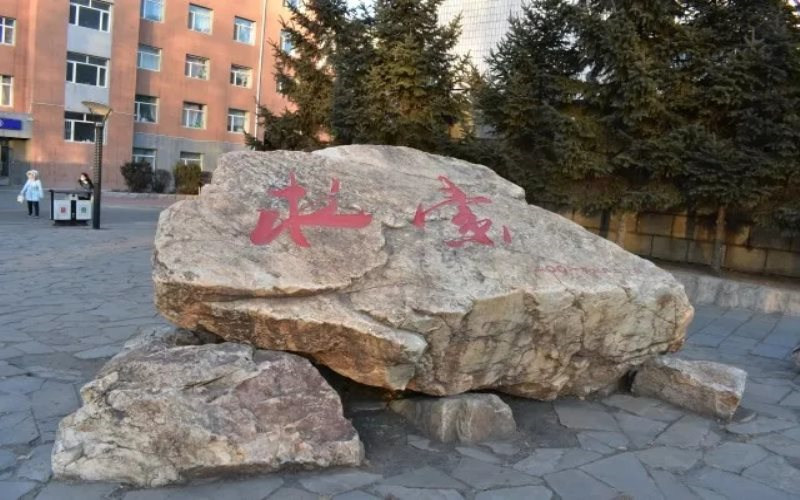 景观石