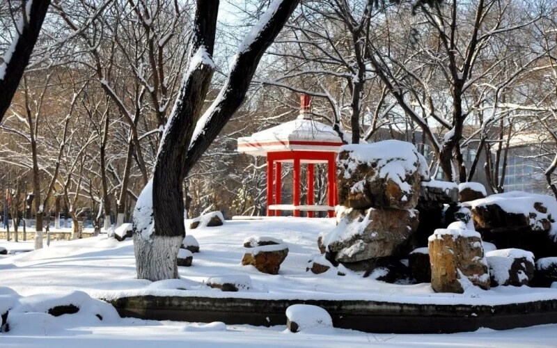 银色校园
