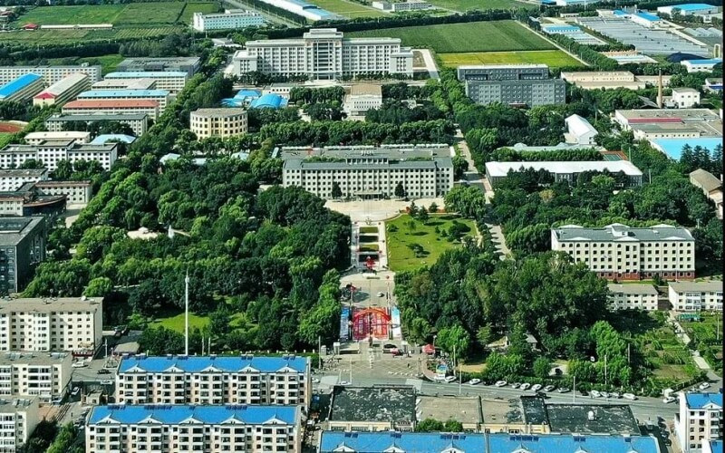 俯瞰校园