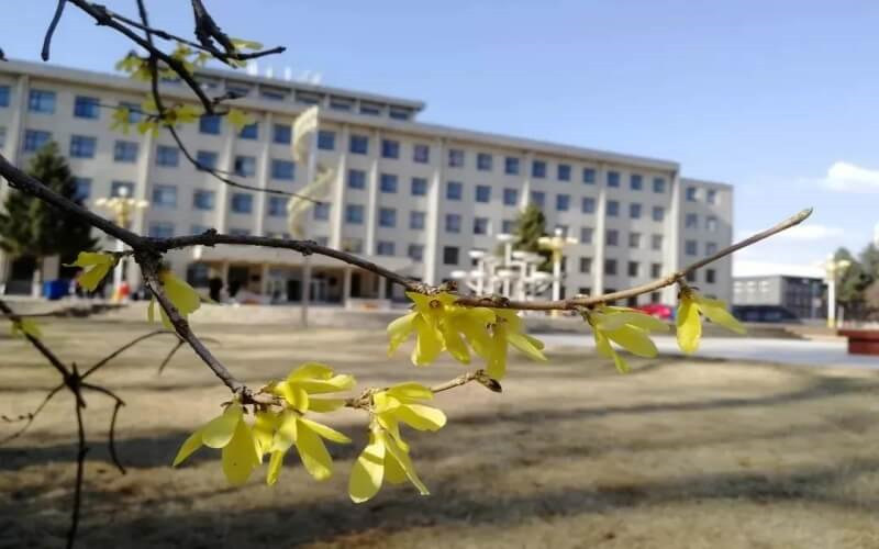 学院风光