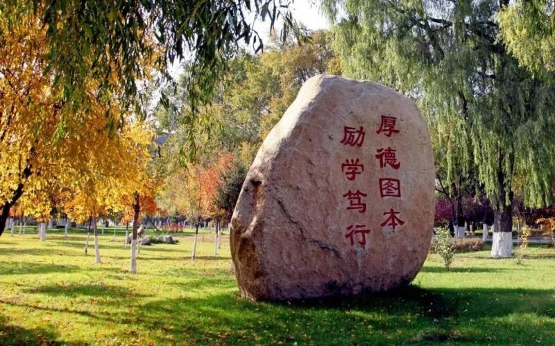景观石