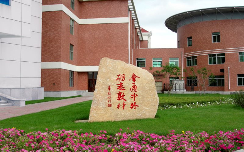 景观石
