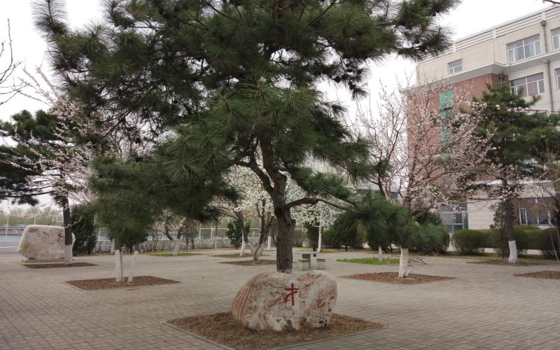 学院风光