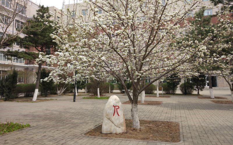 学院景色