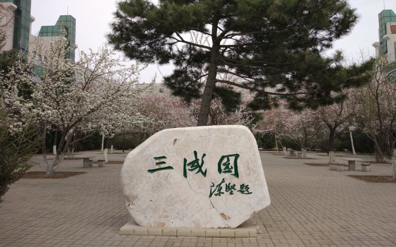 学院景观