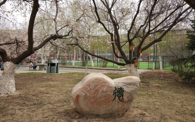 景观石