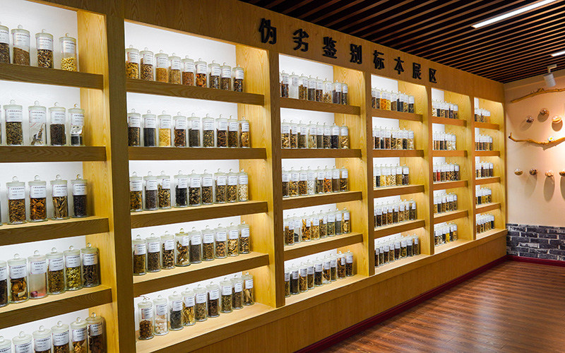 标本展区
