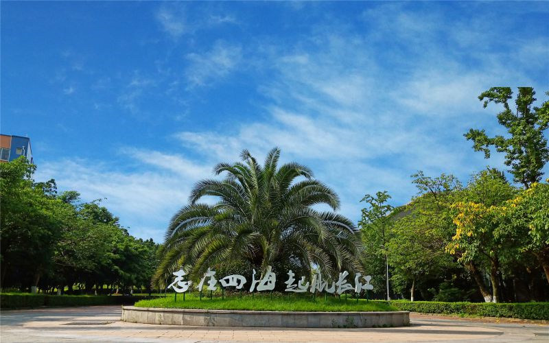 校园风景