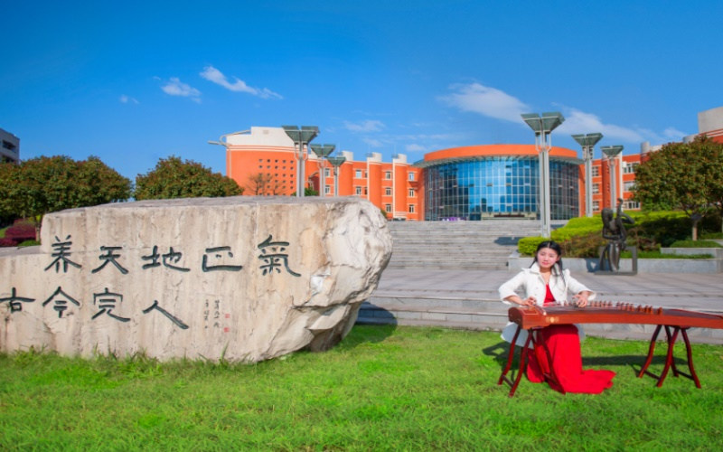 景观石