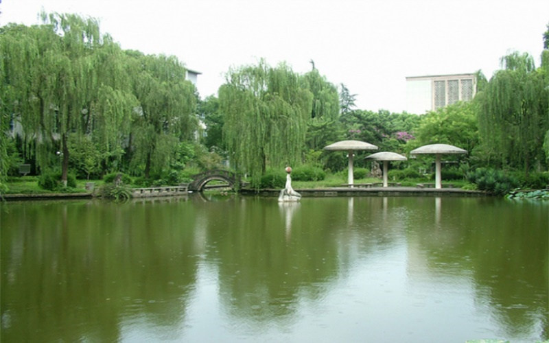 校园池塘