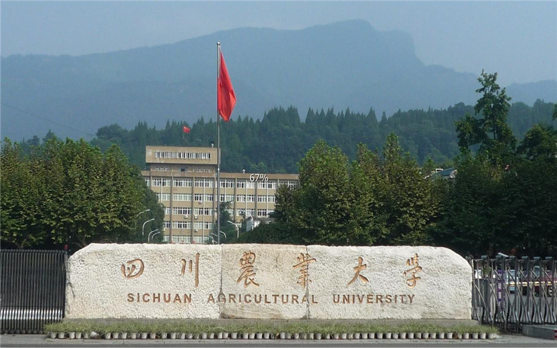四川农业大学首页