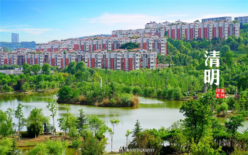 校园全景