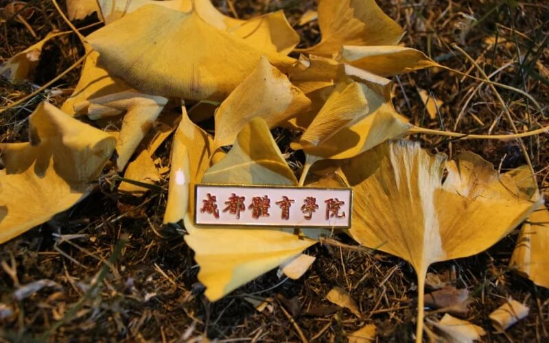 成都体育学院首页