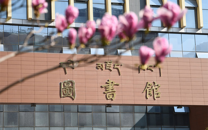 图书馆