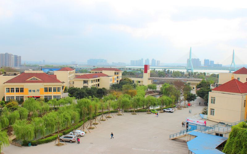 俯瞰校园