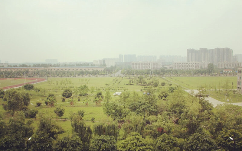 校园景色