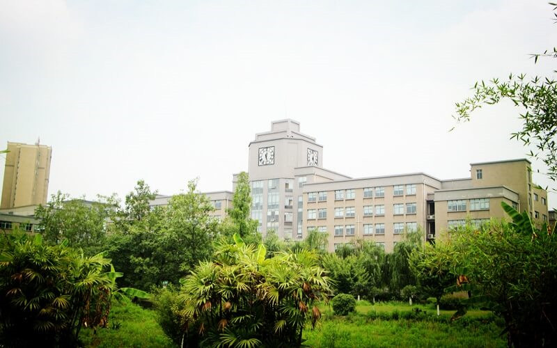 校园绿化