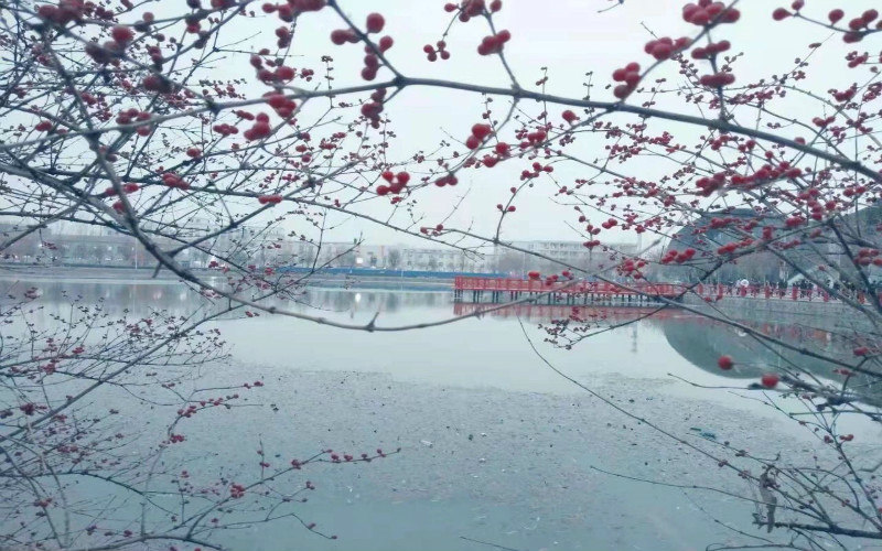 校园冬景