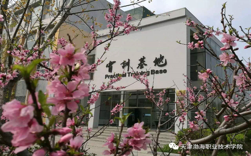 实训基地