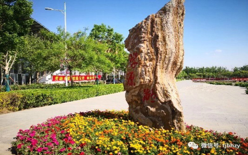 景观石