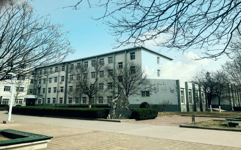 大楼实拍